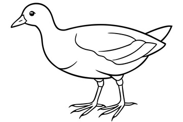 Stylized Moorhen Vector Art