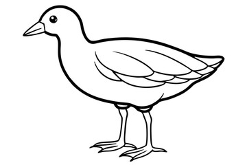 Stylized Moorhen Vector Art