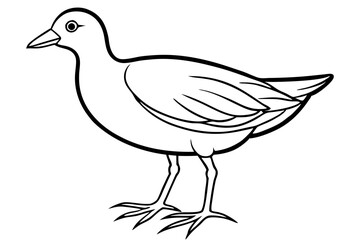 Stylized Moorhen Vector Art