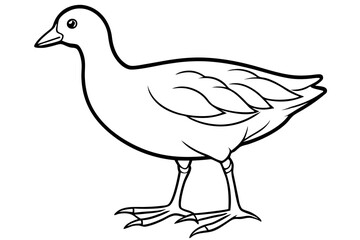 Stylized Moorhen Vector Art