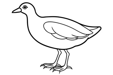 Stylized Moorhen Vector Art