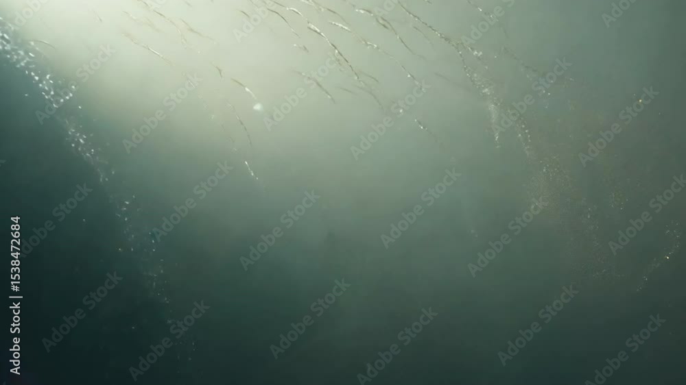 Poster soft shimmering light through misty haze creating enchanting atmosphere in a calm natural environmen