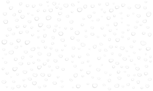 Realistic water drops. PNG drops, condensation on the window, transparent water drop. Abstract water drops, bubbles on transparent background, digital liquid design, Stock royalty free.	 - Powered by Adobe