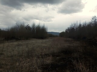 Eerie Landscape Under Stormy Skies