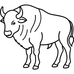 Woodland Bison Minimalist Line Illustration
