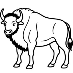 Woodland Bison Minimalist Line Illustration