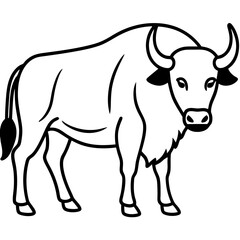 Woodland Bison Minimalist Line Illustration