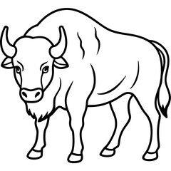Woodland Bison Minimalist Line Illustration