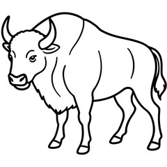 Woodland Bison Minimalist Line Illustration