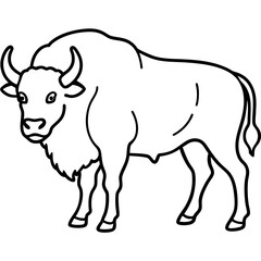 Woodland Bison Minimalist Line Illustration