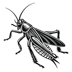 Detailed illustration shows a black and white cricket with segmented body and long antennae