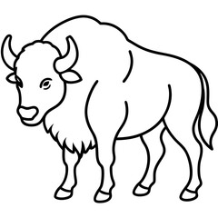 Woodland Bison Minimalist Line Illustration