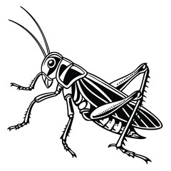 Isolated monochrome grasshopper shows detailed body structure and long antennas in this image