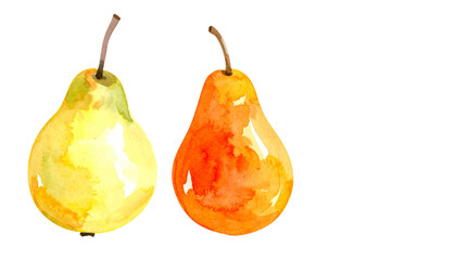 Illustration aquarelle de poire