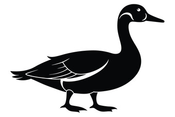 Simple stylized black goose walks calmly across a bright white background now