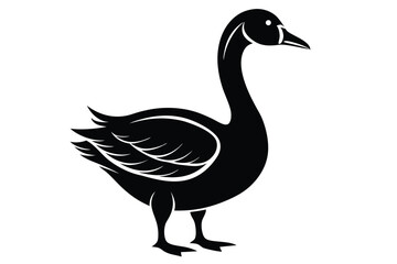 Elegant swan stands gracefully, showcasing a sleek black silhouette with fine white detail