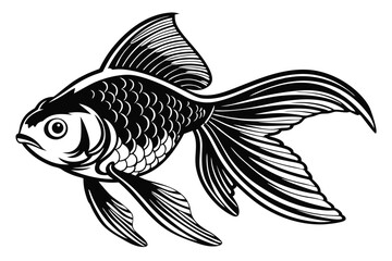 A single black and white goldfish floats gracefully, displaying intricately striped fins and scales
