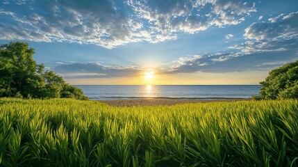 Vibrant Sunset Over Calm Ocean Viewed Through Tall Green Grass