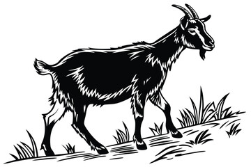 Black goat with curved horns grazes peacefully in a grassy meadow during the day