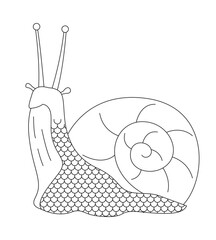Cute snail 2D line character. Spiral gastropod mollusk with antenna eyes. Mollusca shelled mascot. Whimsical slug shell isolated vector ink outline fantasy animal. Monochromatic spot illustration