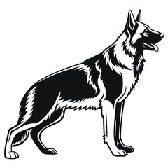 Side view shows black and white German shepherd standing with its tongue out