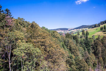 Panoramic summer view over the lush green hills and dense woodland of Germany’s Black Forest, seen from Sommerberg near Bad Wildbad.