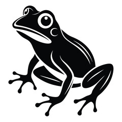 Stylized black frog illustration shows big eye and detailed leg structure on a white background
