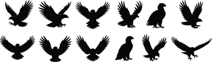 Majestic Bald Eagle Silhouettes in Flight and Landing Poses, Symbolizing Freedom, Strength, and American Pride for Nature Designs
