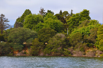 Beautiful forest landscape along the lake
