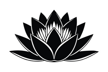 lotus flower vector illustration art