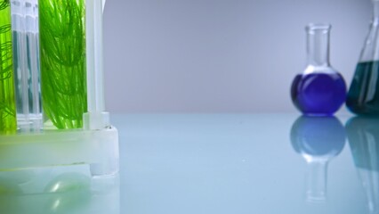 Test tubes with green plant samples and colorful chemical flasks in laboratory