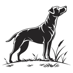 Black dog stands alert, looking upwards among grasses, in a monochrome vector
