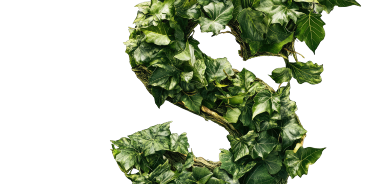 Ivy-lettered "S - Powered by Adobe