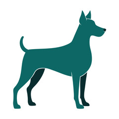A teal silhouette shows a graceful dog standing and facing right on white