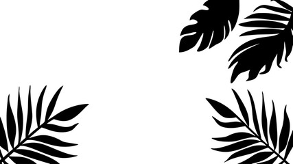 Tropical leaves background design summer concept