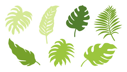 Set of colourful tropical palm leaves vector © Creative vector