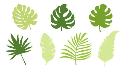 Set of colourful tropical palm leaves vector © Creative vector