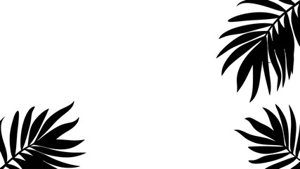 Tropical leaves background design summer concept