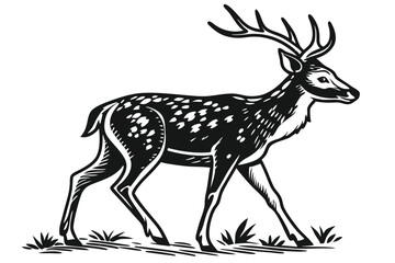 Majestic sika deer with antlers elegantly walks across the grassy field illustration in monochrome