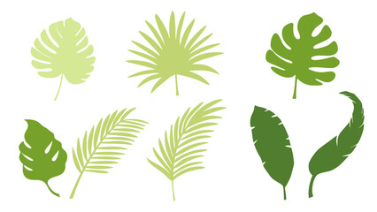 Set of colourful tropical palm leaves vector © Creative vector
