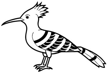 Elegant Hoopoe Outline