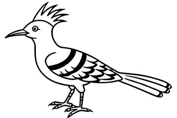 Elegant Hoopoe Outline