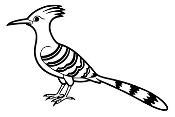 Obraz premium Elegant Hoopoe Outline