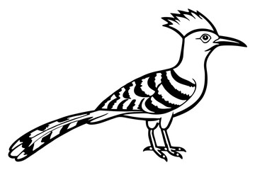 Elegant Hoopoe Outline