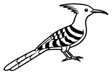Elegant Hoopoe Outline