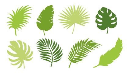 Set of colourful tropical palm leaves vector © Creative vector
