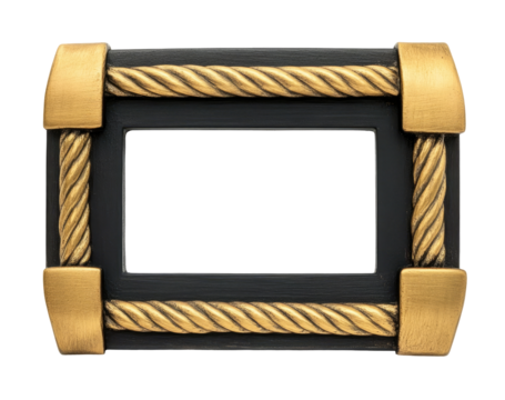 Black and gold decorative electrical plate with rope accents