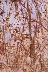 Abstract Purple Scratched Surface Texture