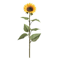 Obraz premium Single sunflower with vibrant yellow petals and green leaves on a tall stem