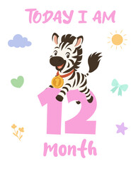 Zebra 12 month milestone poster baby age card. Cute animal birthday design. Monthly growth sign for baby photo shoot.